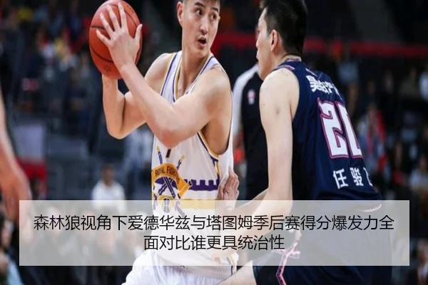 森林狼视角下爱德华兹与塔图姆季后赛得分爆发力全面对比谁更具统治性